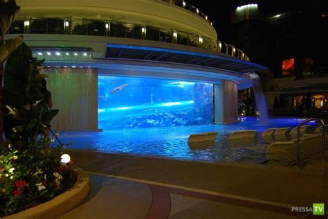 аквариум с акулами в отеле и казино golden nugget